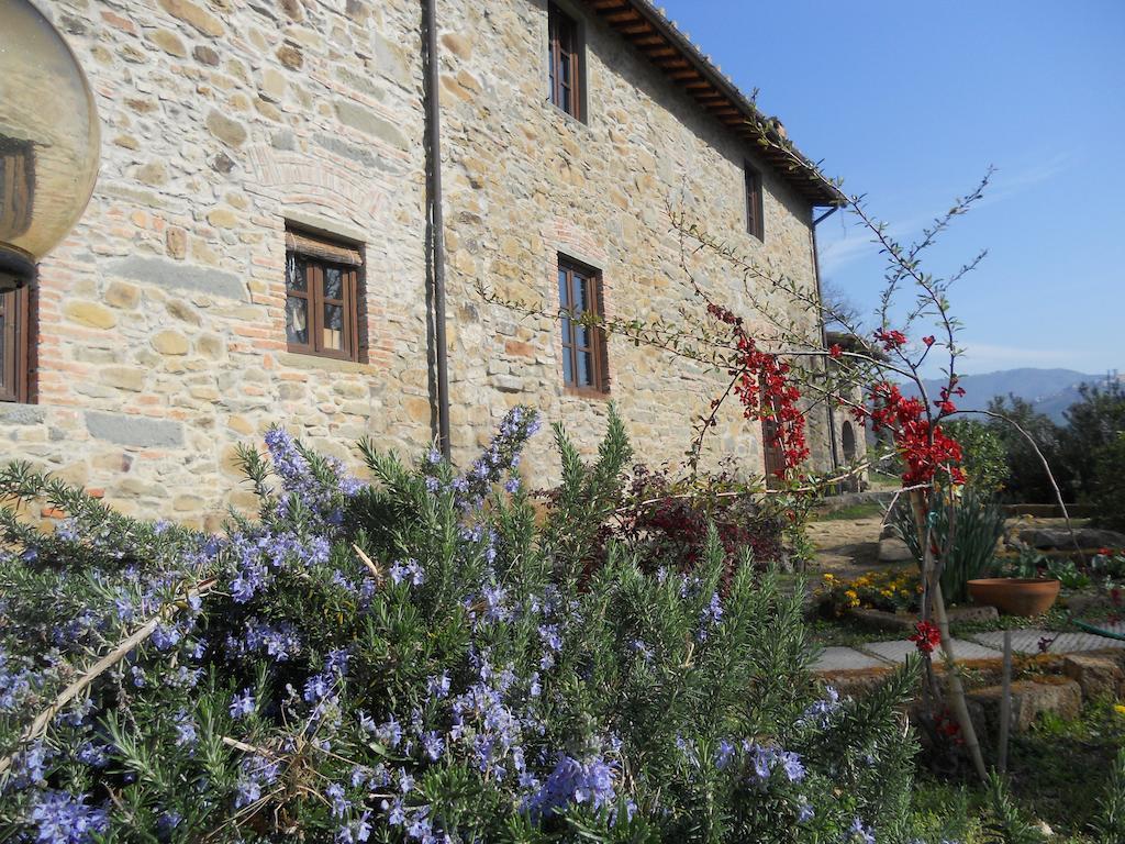 Agriturismo La Fagianaia Guest House Borgo a Buggiano Exterior photo