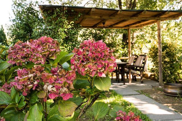Agriturismo La Fagianaia Guest House Borgo a Buggiano Exterior photo